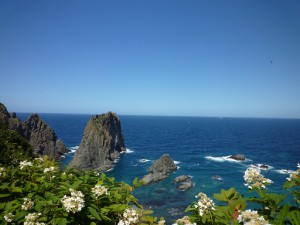 海
