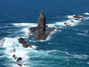 海