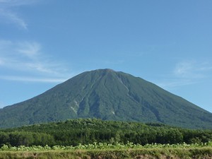 山